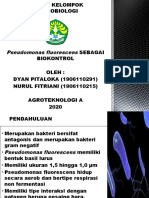 04 - Dyan Pitaloka Nurul Fitriani - Pseudomonas Fluoroscene Sebagai Biokontrol