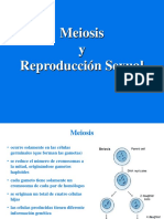 16 Meiosis y Reproducción Sexual