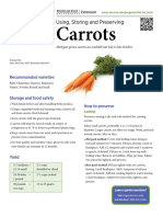 Carrots: Using, Storing and Preserving