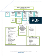 Tema01 - Tramitación Procesal Derechos y Deberes Esquema