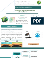 Microorganismos Que Metabolizan Los Hidrocarburos - G4.