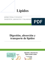 Primera Parte Lipidos