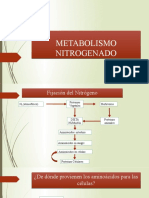Clase Metabolismo Nitrogenado