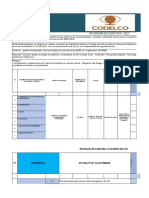 Programa de Auditoria Codelco