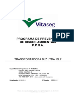 Transportadora BLZ Ltda 2011