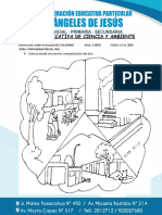 Ficha Aplicativa Contaminacion Del Aire