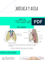 Area Cardiaca y Axila - Medicina Humana - Antenor Orrego