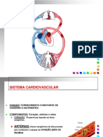 Sistema Cardiovascular: Função e Componentes