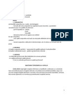 Curs 1-7 Anatomie Topografica