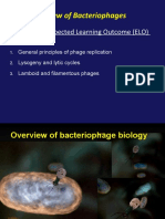 Overview of Bacteriophages: Lecture 14: Expected Learning Outcome (ELO)