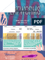 Platyhelminthes: RE, Vic Ed . NE, at A A