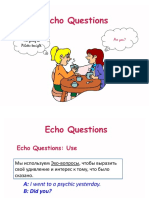 Echo Questions