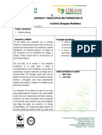 S. 11 - Formato de Diario Pedagógico