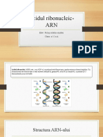 Acidul ribonucleic-ARN