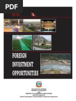 Foreign Investment Opportunities in Nepal 2009