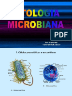Citologia Microbiana