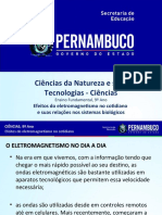 Efeitos Do Eletromagnetismo No Cotidiano e Suas Relações Nos Sistemas Biológicos