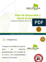 Plan de Seguridad y Salud Ocupacional: Cámara Chilena de La Construcción Junio 2008
