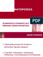 Hematopoieza 2009_new (1)