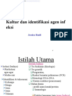 Kultur dan identifikasi agen infeksi