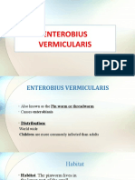 Enterobius Vermiculars