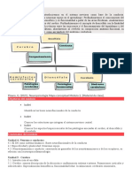 Neuro Modulo Kenedy