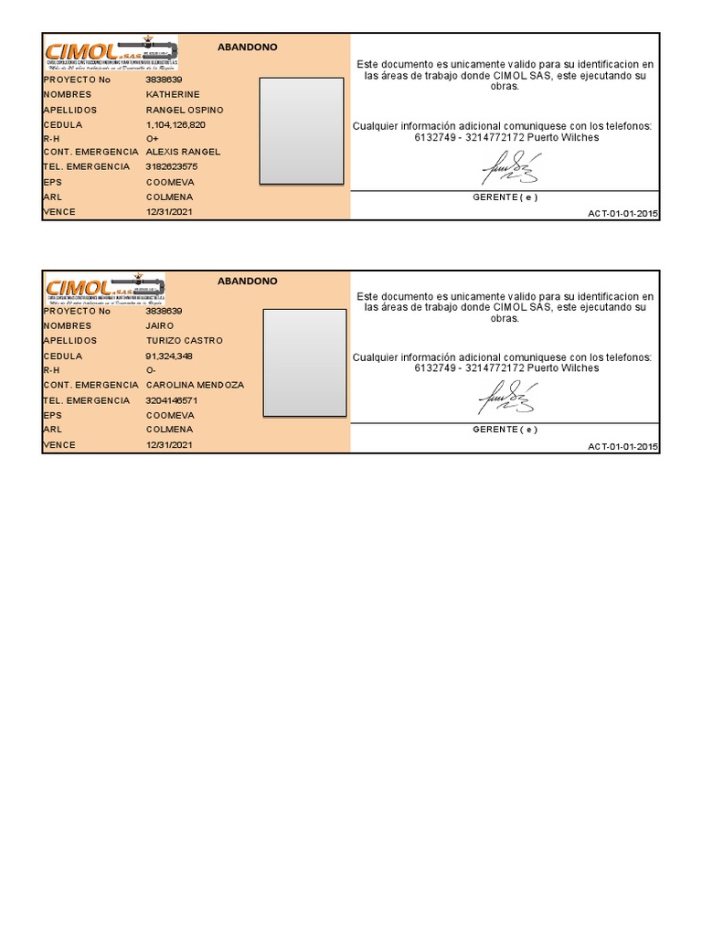 Modelo Carnet | PDF