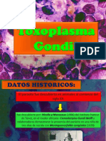 Toxoplasmosis: Ciclo de vida del parásito Toxoplasma gondii