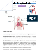 Aparato Respiratorio