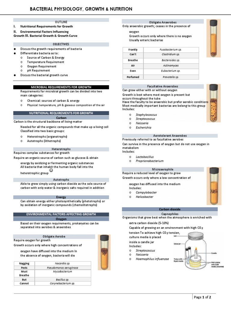 Nutrition visual data 3