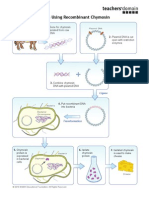 Biotpd Doc Chymosin