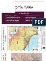 Proyecto Tía María - Presentación