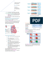 Conduction of The Heart