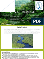 Exposicion Selva Tropical Ecologia