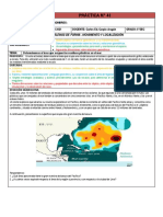 Prác. N° 41 Problemas de geometría