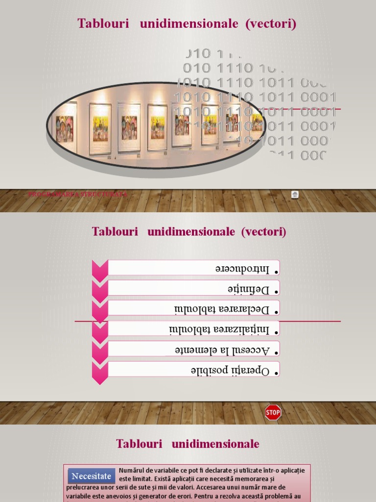 t12 Tablouri Unidimensionale | PDF