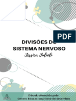 Divisões Do SN