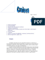 Craiova Referat 2011 (Extremlym)