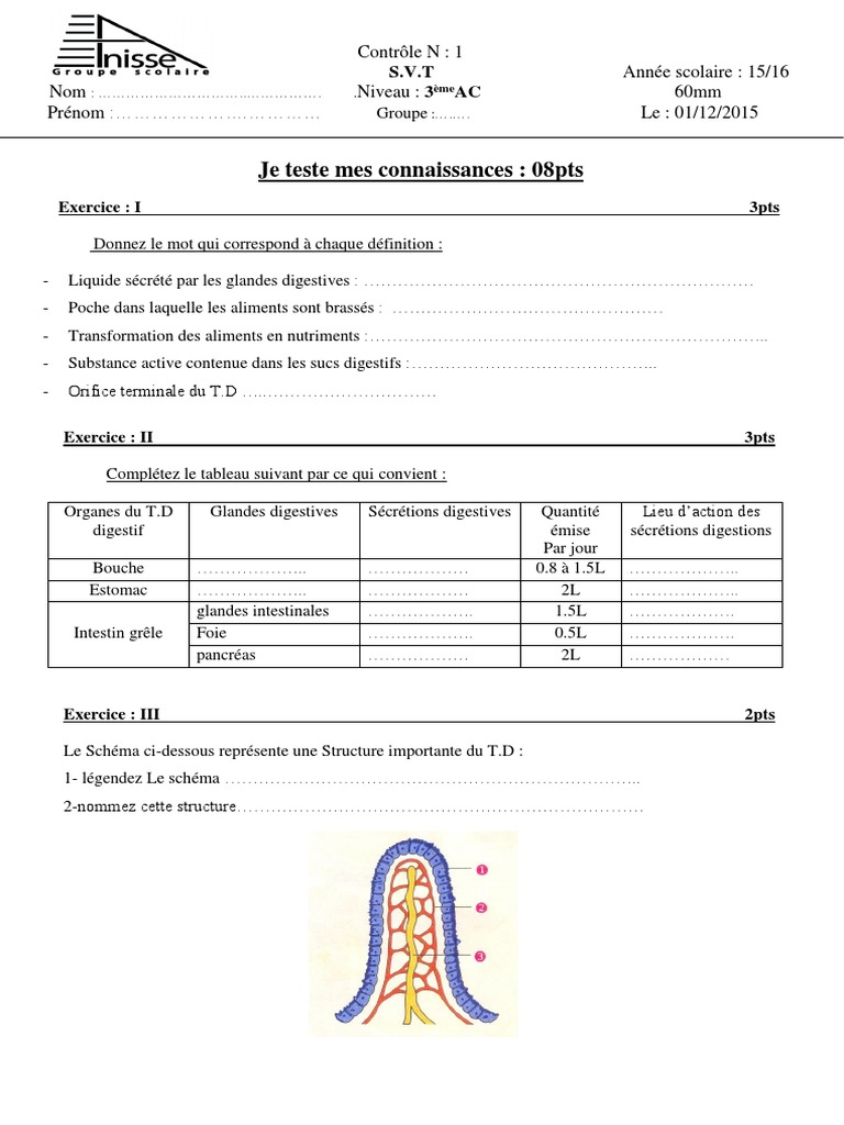 Devoir Svt La Digestion Des Aliments Correction Pdf