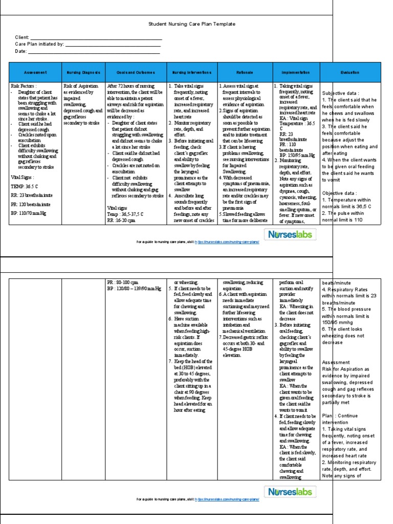 Student Nursing Care Plan Template | PDF | Diseases And Disorders ...