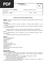 Aula Pratica - Banana