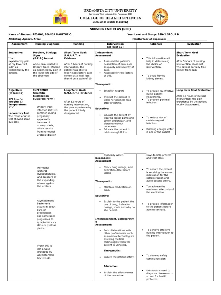 Nursing Care Plan for UTI Management | PDF | Urinary Tract Infection ...