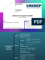 Cuadro Sinóptico: Auditoria de Capital Contable