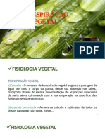 Transpiração Vegetal