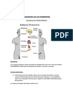 TEMA Nº7 Bioquimica de Las Hormonas