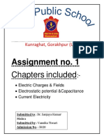 Electric Charges & Fields Assignment