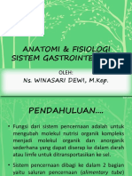 Anatomi & Fisiologi Sistem Gastrointestinal: Ns. Winasari Dewi, M.Kep