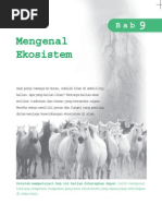 Download ekosistem by Syaif Ifood Oedien SN54514931 doc pdf