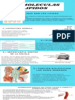 Infografias Mildred Mora Biomoleculas