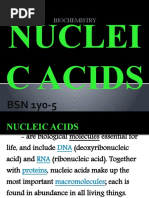 Amino Acid Worksheet 2 Key | PDF | Amino Acid | Proteins